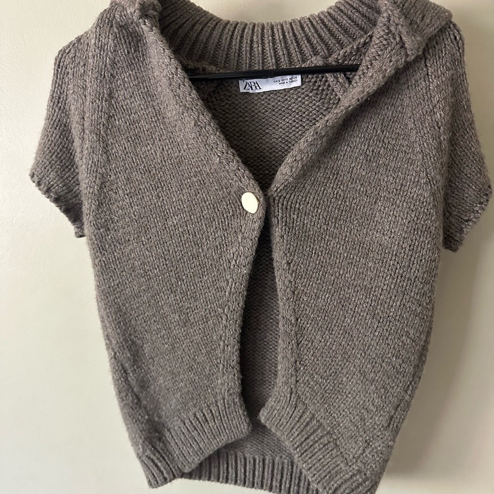 Zara Women's Brown Short Sleeve Sweater